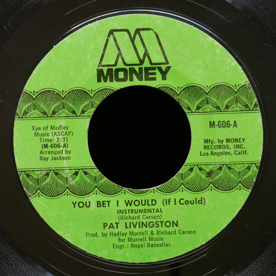 PAT LIVINGSTON You Bet I Would (If I Could) 45 MONEY RECORDS M-606 US 1973 Soul