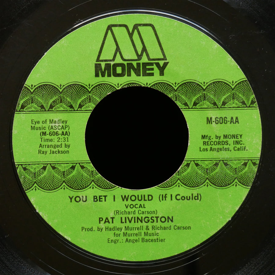 PAT LIVINGSTON You Bet I Would (If I Could) 45 MONEY RECORDS M-606 US 1973 Soul