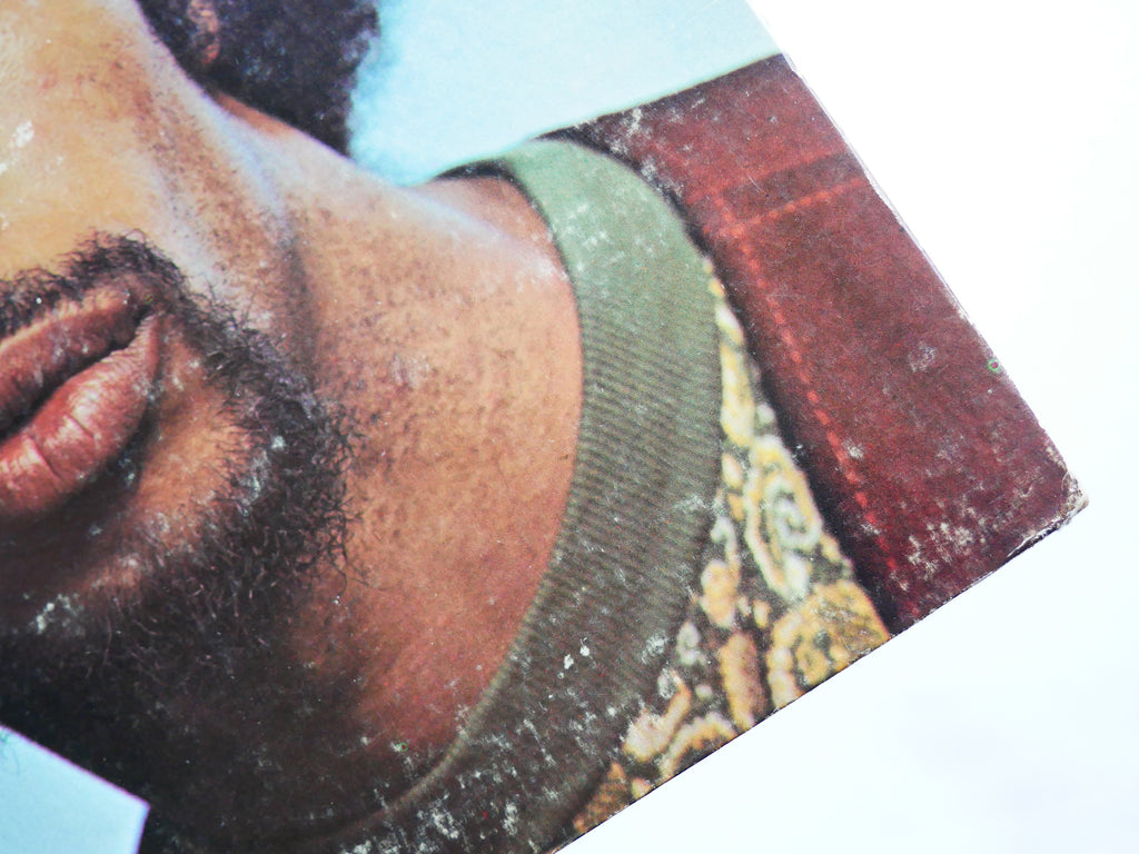 GIL SCOTT-HERON Pieces Of A Man LP FLYING DUTCHMAN FD 10143 US '71 Pretty Purdie