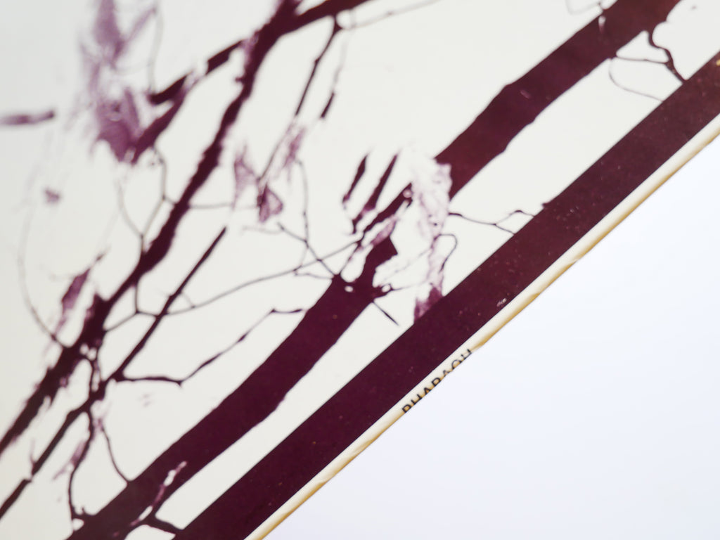 PHAROAH SANDERS Pharoah INDIA NAVIGATION IN 1027 US 1977 Spiritual Jazz