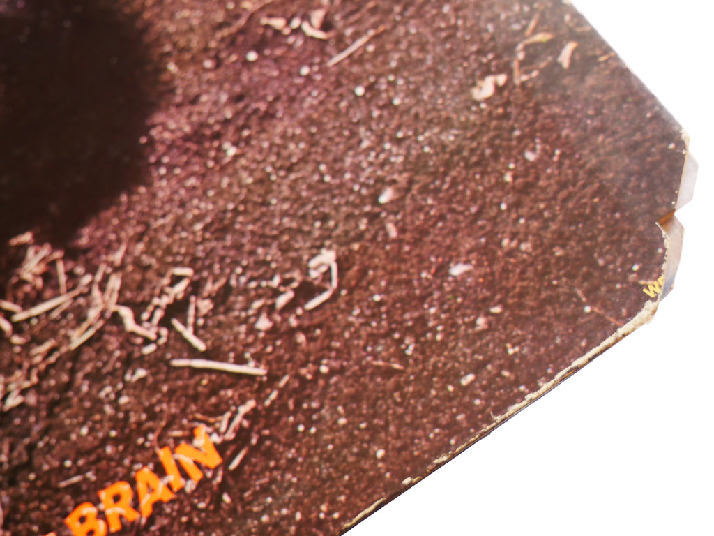 FUNKADELIC Maggot Brain LP WESTBOUND RECORDS W-218 US 1975 Psychedelic CLEAN