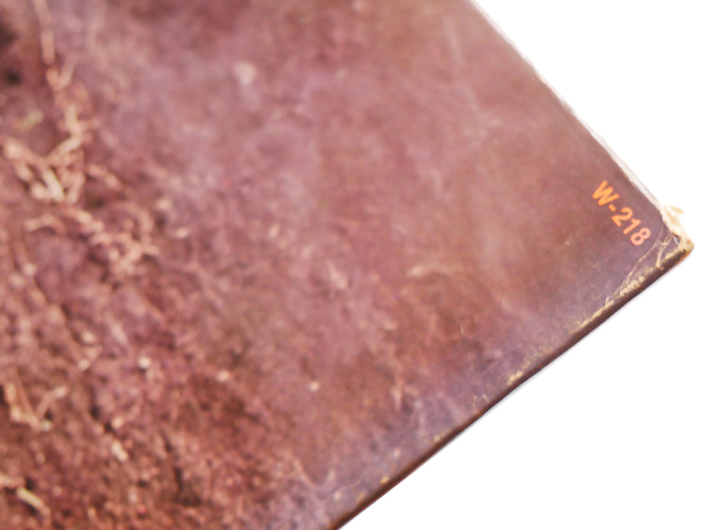 FUNKADELIC Maggot Brain LP WESTBOUND RECORDS W-218 US 1975 Psychedelic CLEAN