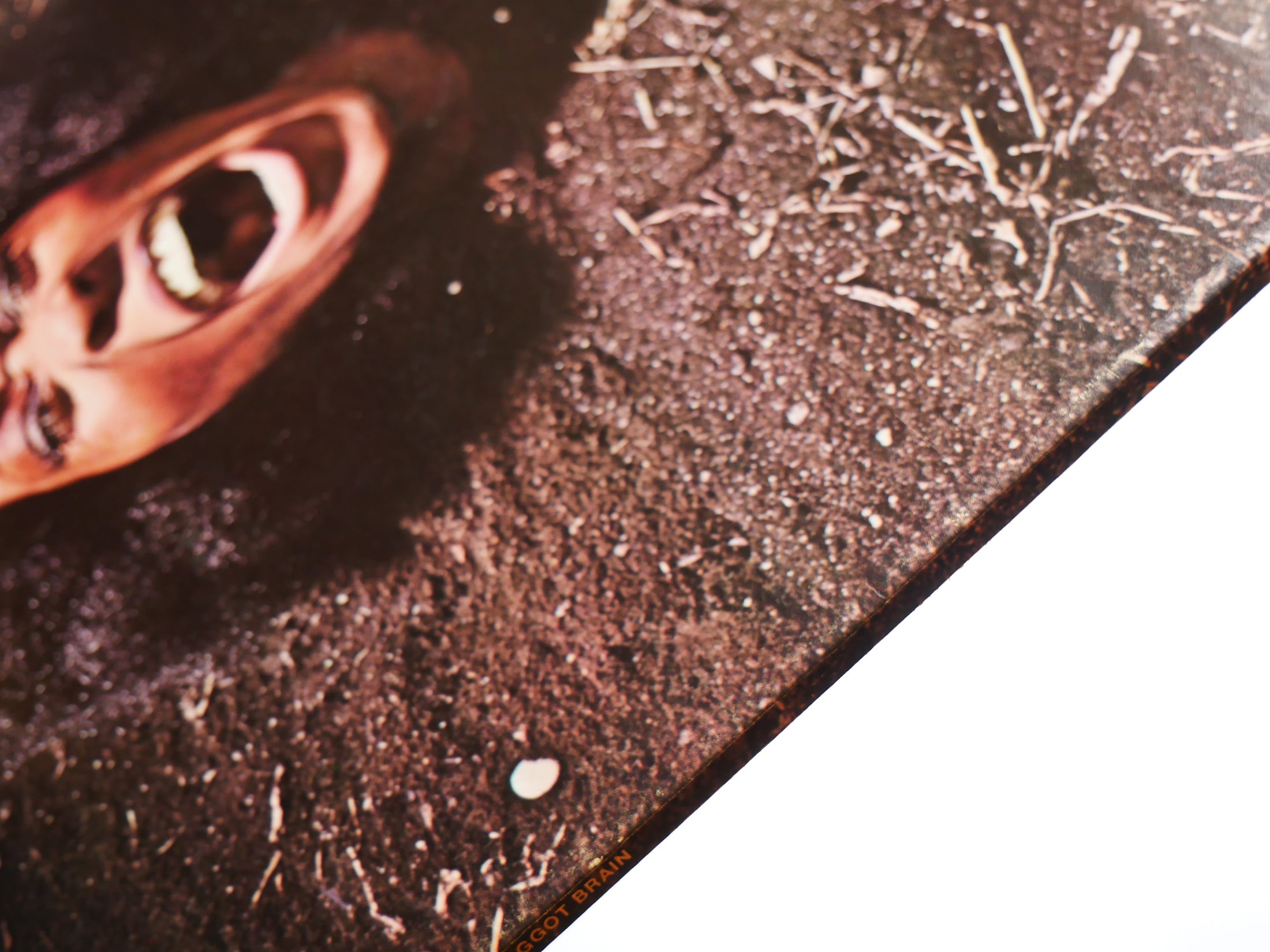 FUNKADELIC Maggot Brain LP WESTBOUND RECORDS W-218 US 1975 Psychedelic CLEAN